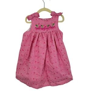 Rare Editions Toddler Girls Pink Gingham Cherry Embroidered Dress Size 3T